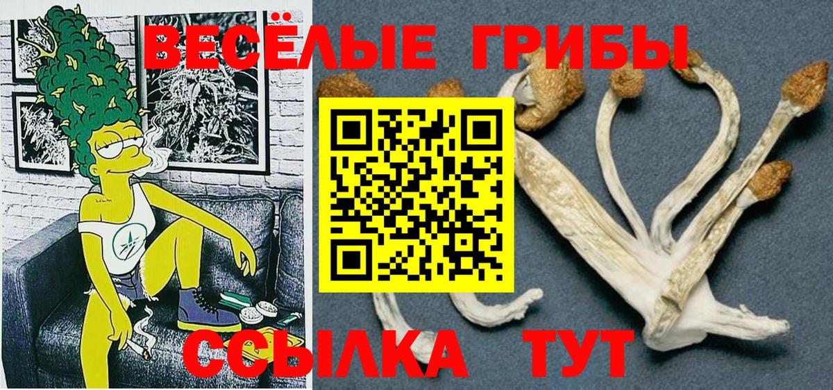 Галлюциногенные грибы Psilocybe Гуково
